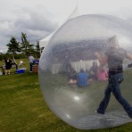 Hamster Ball – Pair