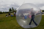Hamster Ball – Pair