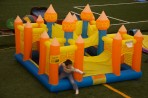 Castle Maze (Hide & Seek) Self-Serve
