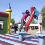 Gladiator Joust